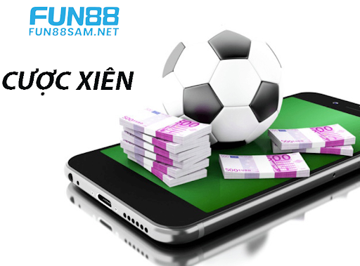 Bí quyết chơi và cách đánh phỏm hiệu quả cho người mới bắt đầu