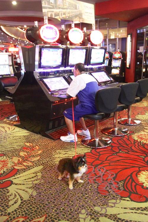 Khám phá slots real money với những cơ hội thắng lớn dành cho người chơi